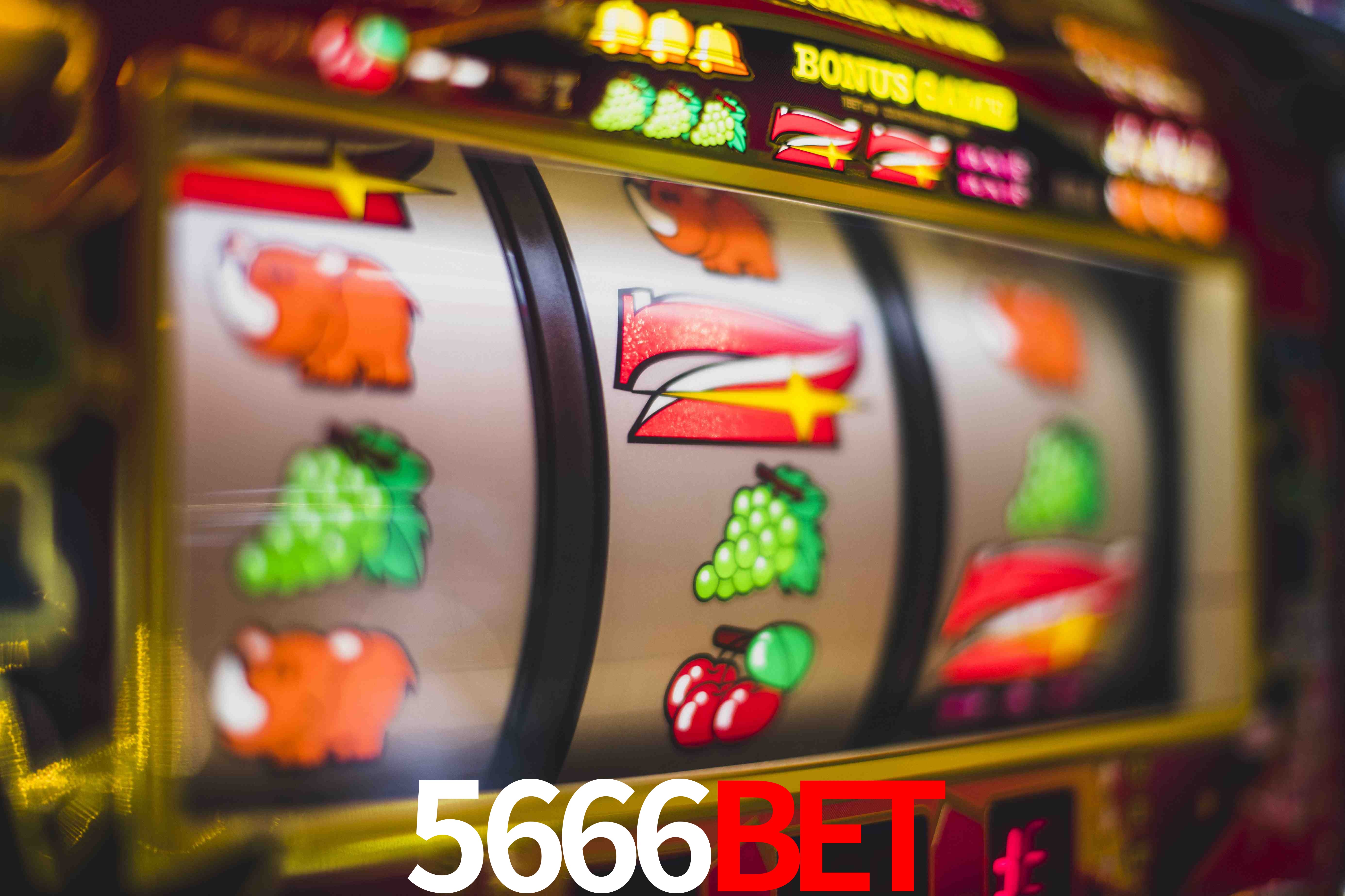 Statistics 5666bet