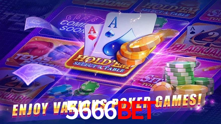 cassino 5666bet